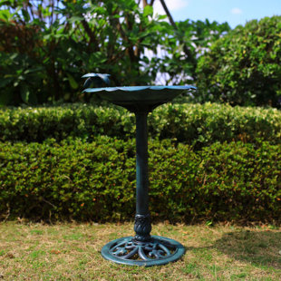 Wayfair | Green Bird Baths You'll Love in 2023